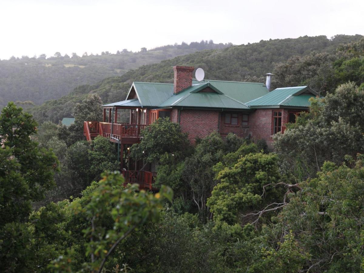 Luxury Studio - Panoramic Ocean Views - Fast Wifi Wildernis Exteriör bild